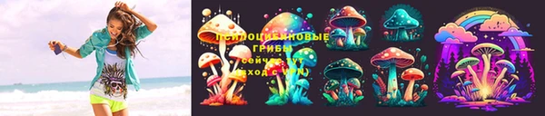 кокс Баксан