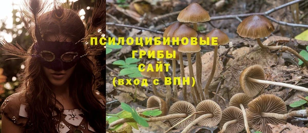 бутират Балахна