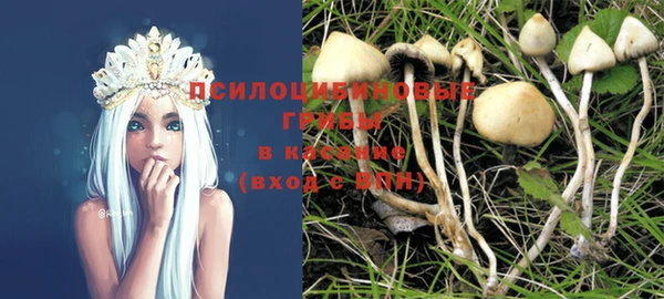 кокс Белокуриха