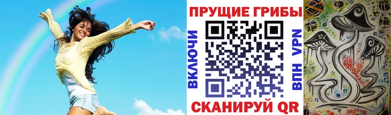 Псилоцибиновые грибы прущие грибы  Купить где  Бор 